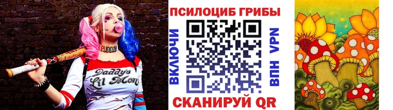 OMG как войти  Георгиевск  Галлюциногенные грибы GOLDEN TEACHER 