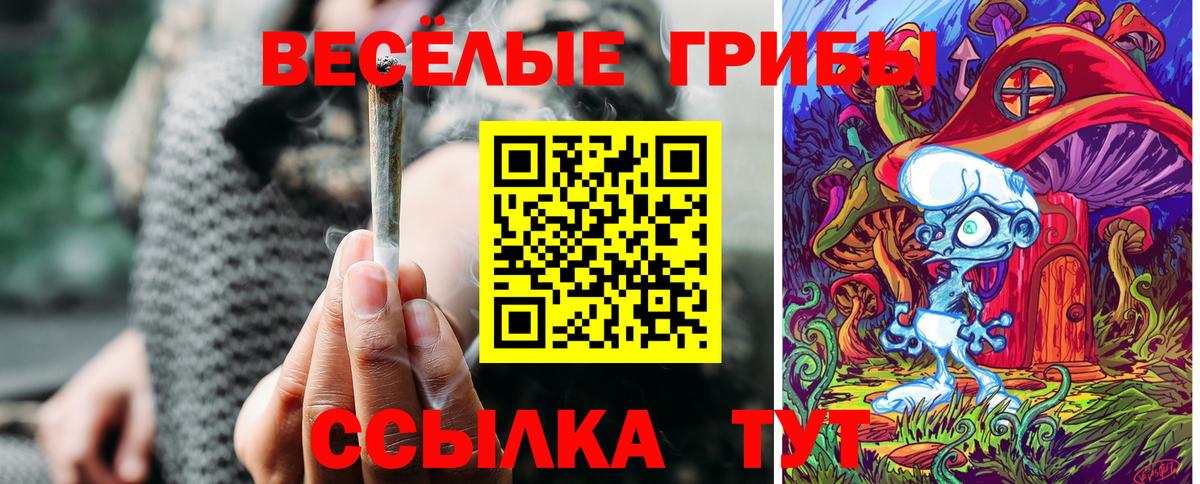 Георгиевск  наркота  Вход с VPN  Галлюциногенные грибы MAGIC MUSHROOMS 